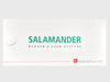 Salamander window systems debesto.com front of colour chart 
